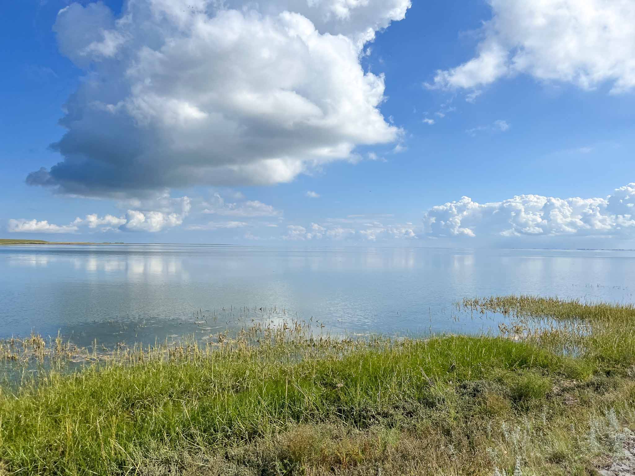 Dagje Schiermonnikoog