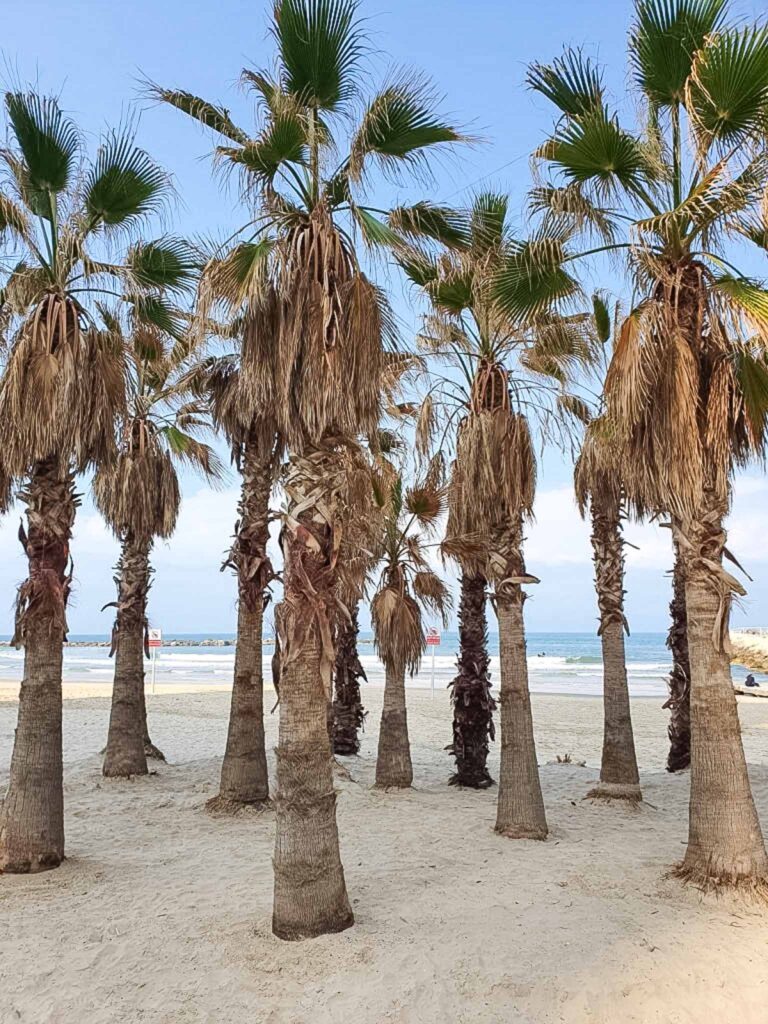 Alleen naar Tel Aviv