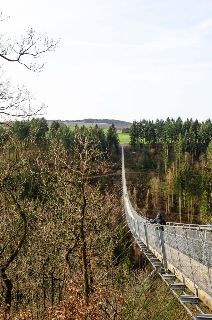 Geierlay Hangbrug