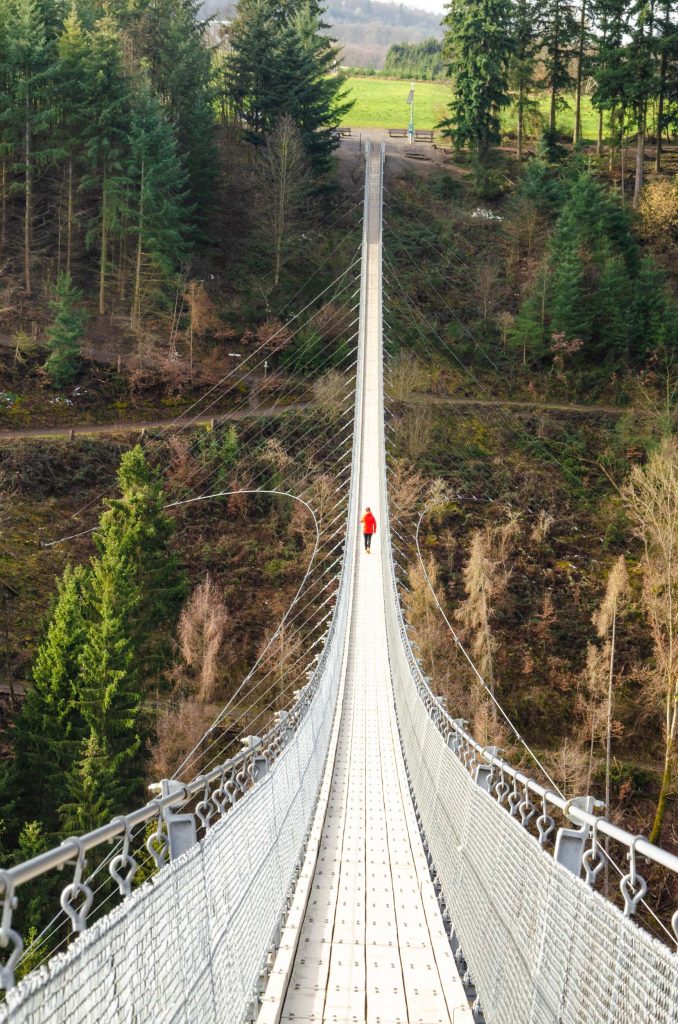 Geierlay hangbrug
