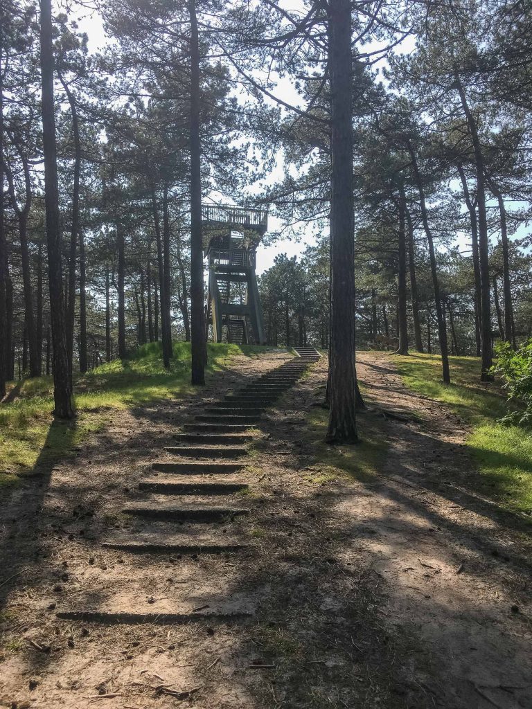 Wat te doen op Texel