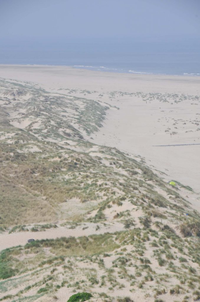 Wat te doen op Texel