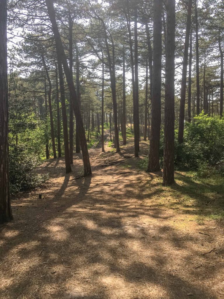 Wat te doen op Texel