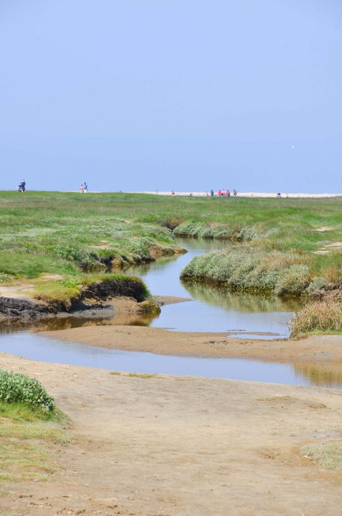 Wat te doen op Texel