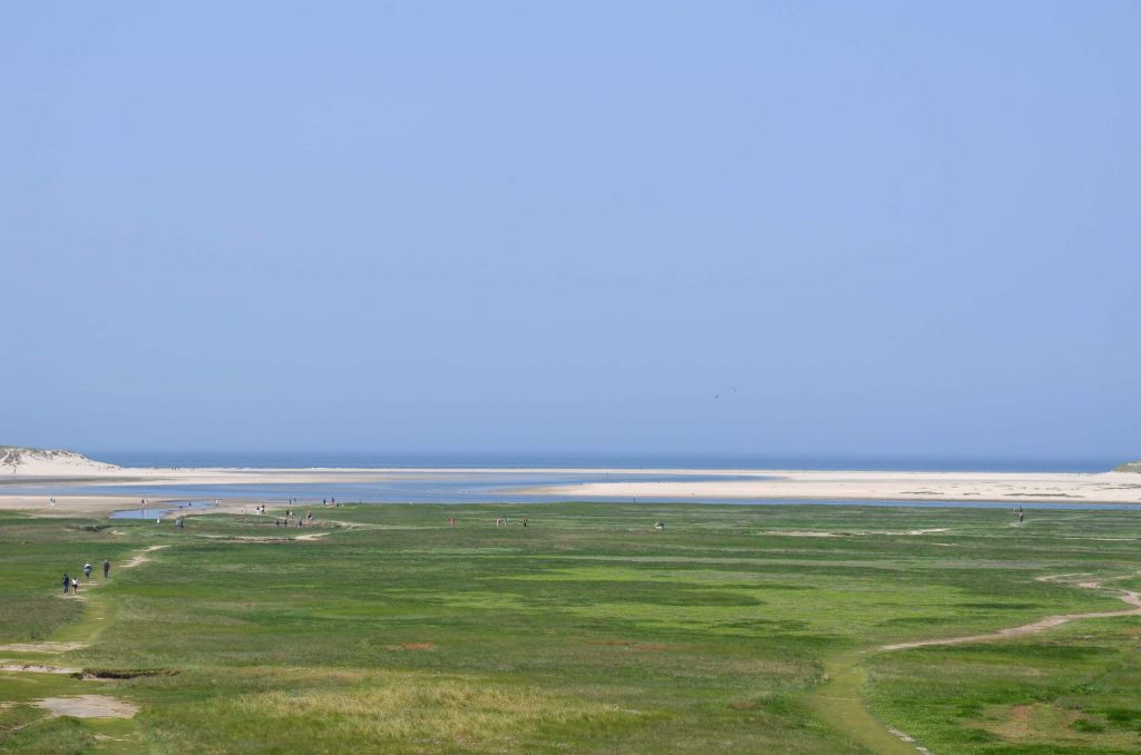 Wat te doen op Texel