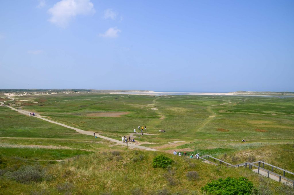 Wat te doen op Texel