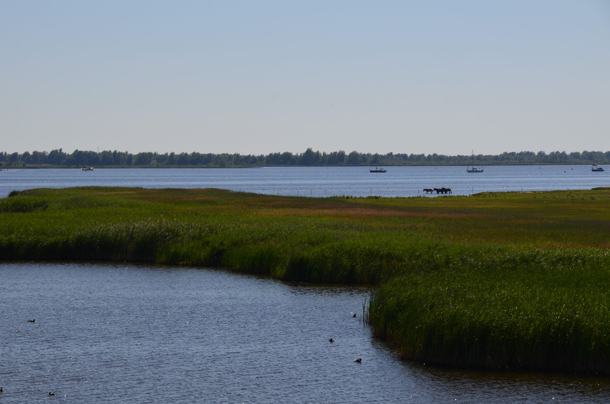 De leukste tips voor het ontdekken van de provincie Groningen