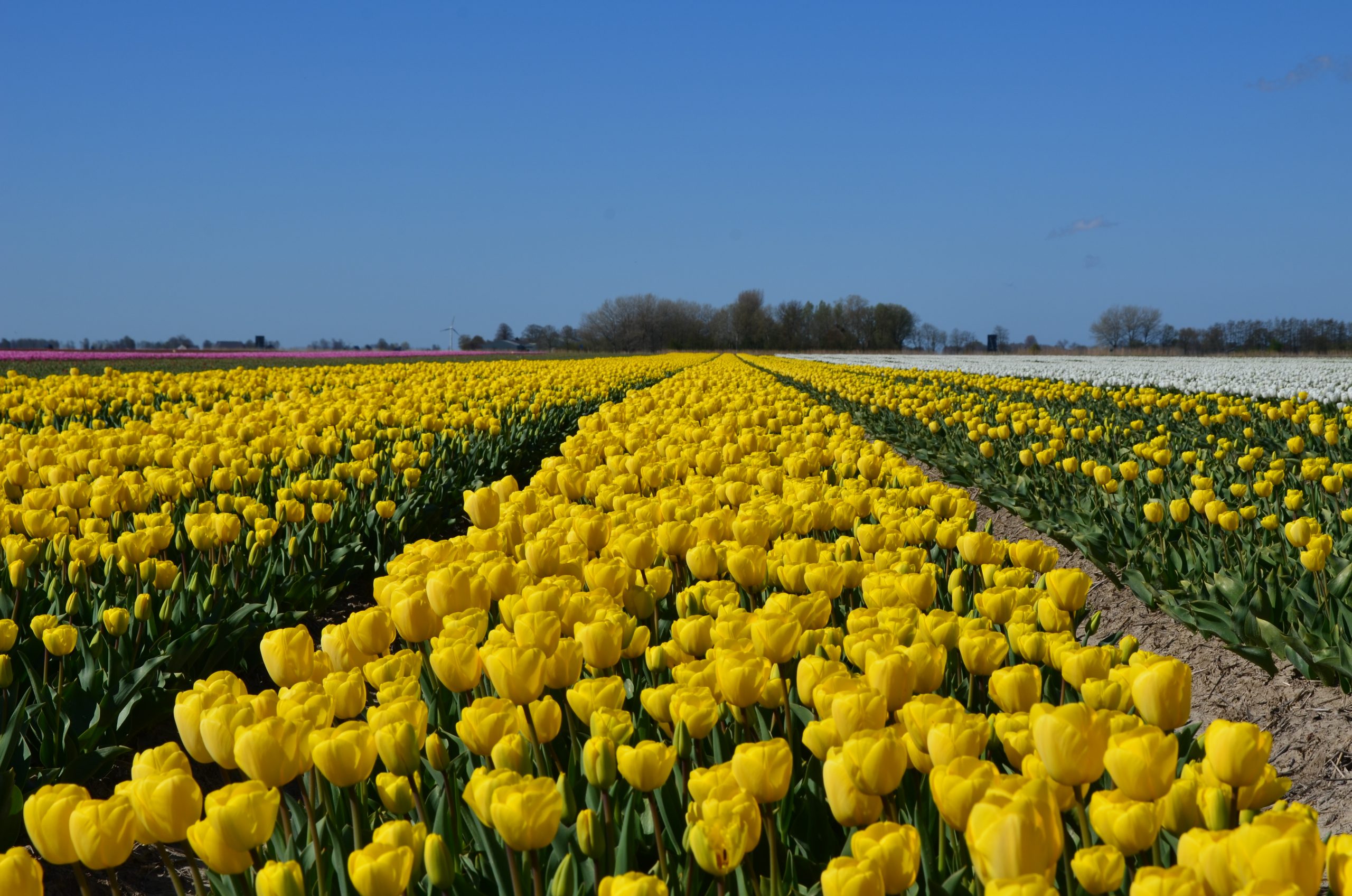 De leukste tips voor het ontdekken van de provincie Groningen