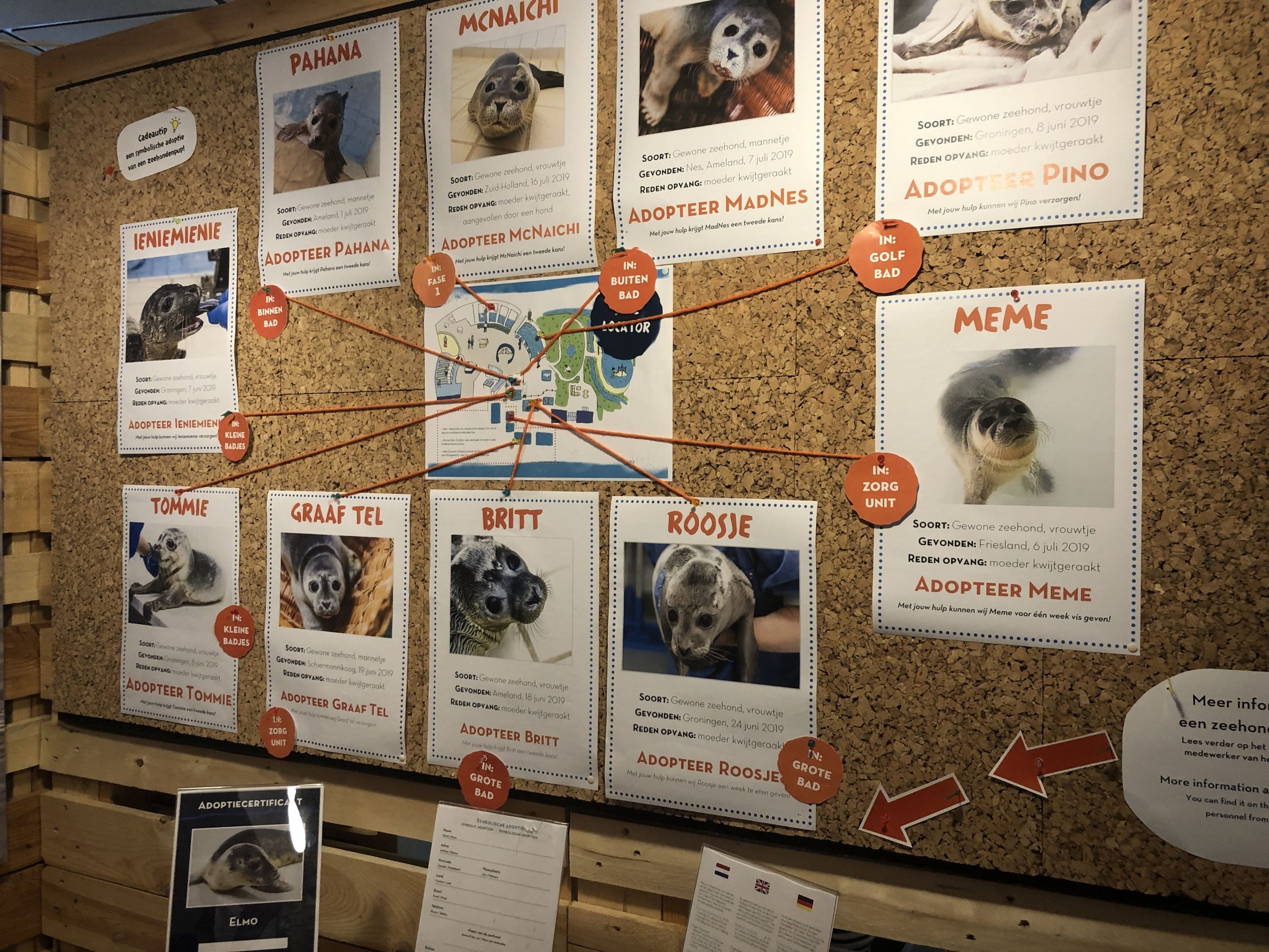 De leukste tips voor het ontdekken van de provincie Groningen