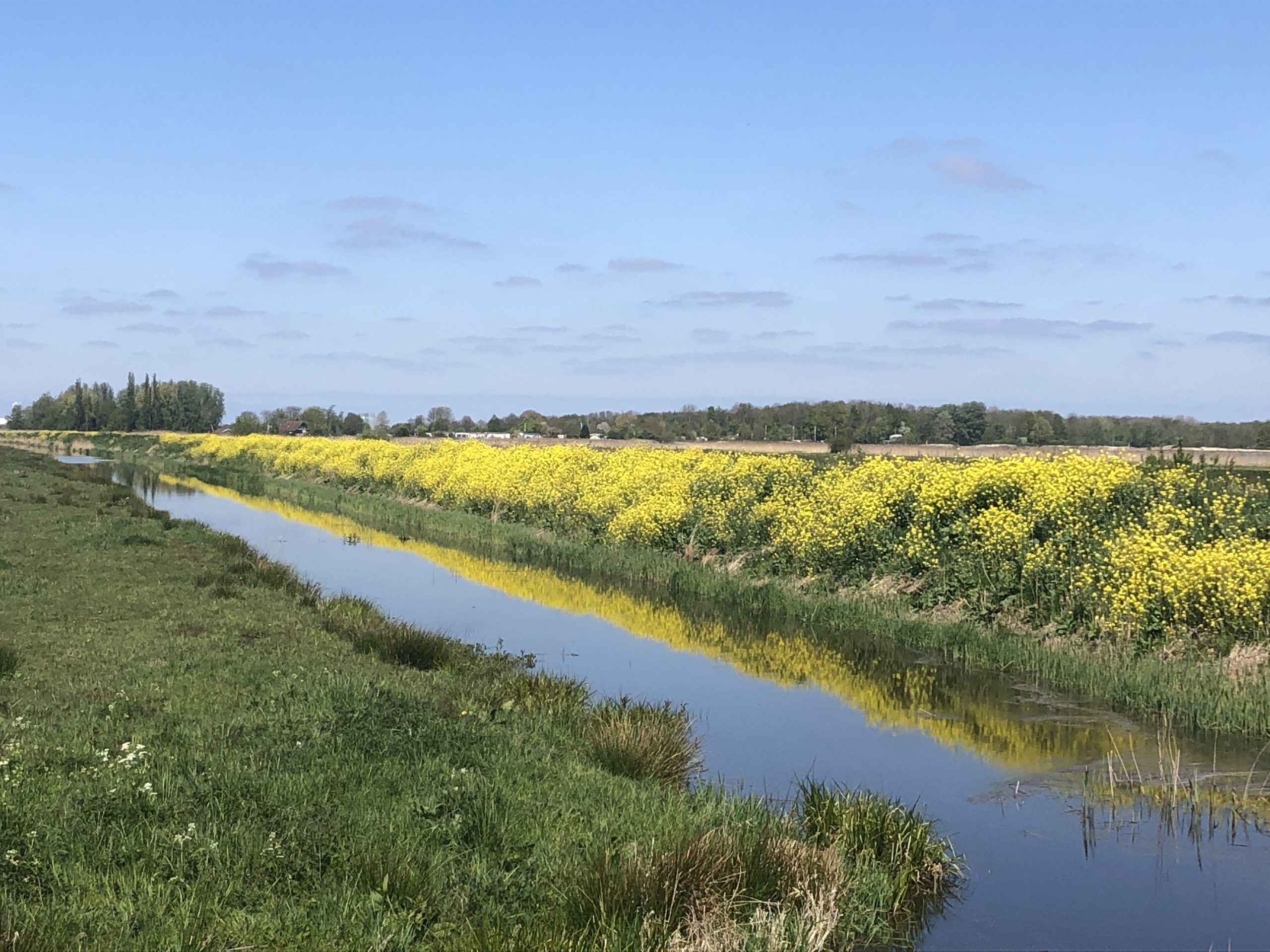 De leukste tips voor het ontdekken van de provincie Groningen