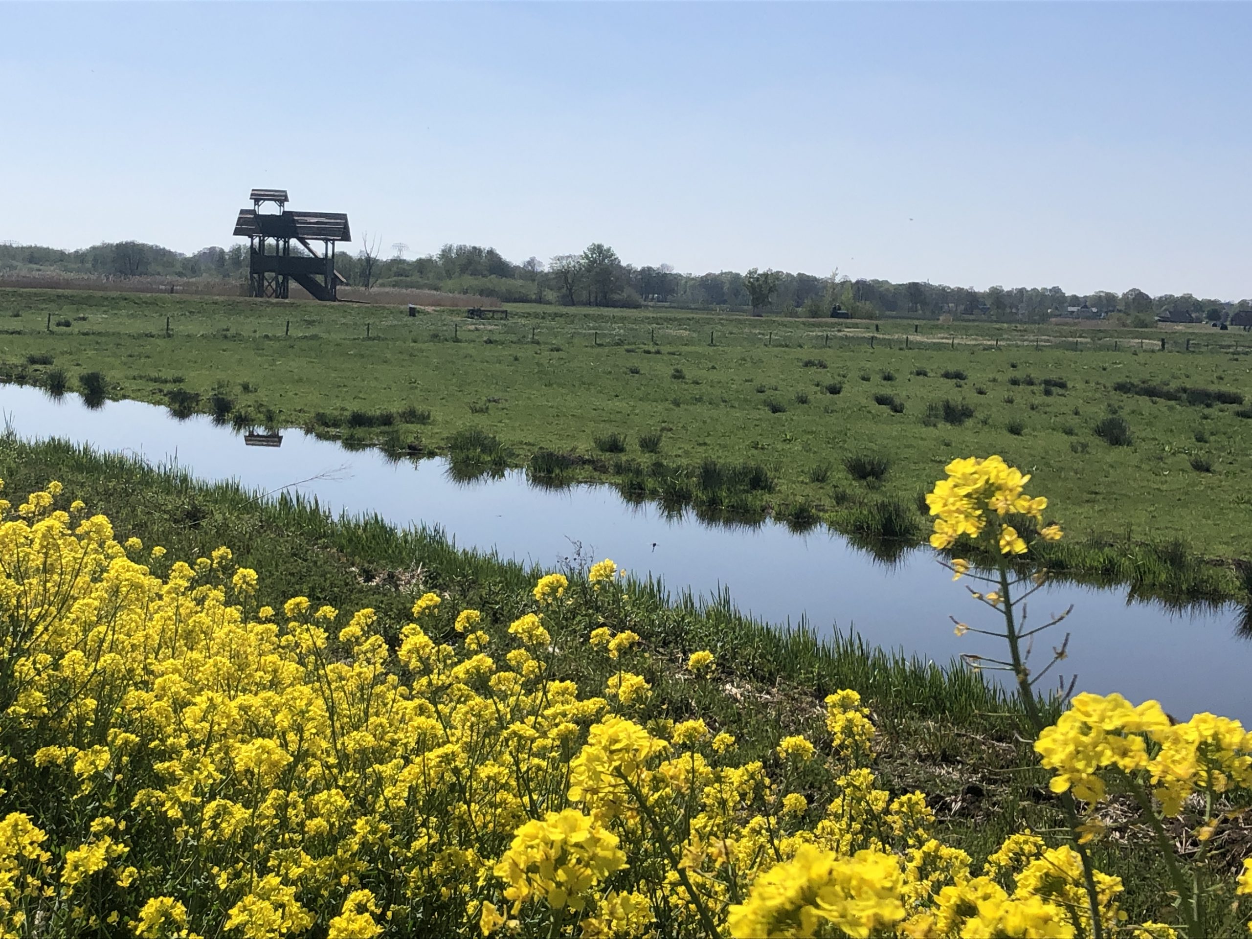 De leukste tips voor het ontdekken van de provincie Groningen