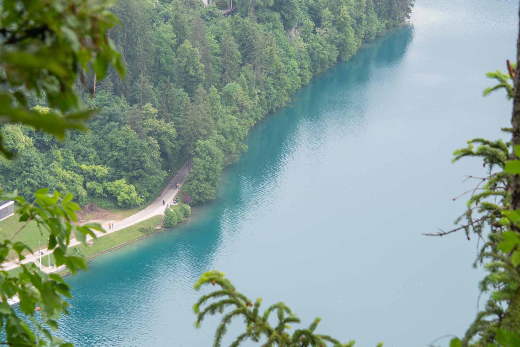 wandelen rond het meer van Bled