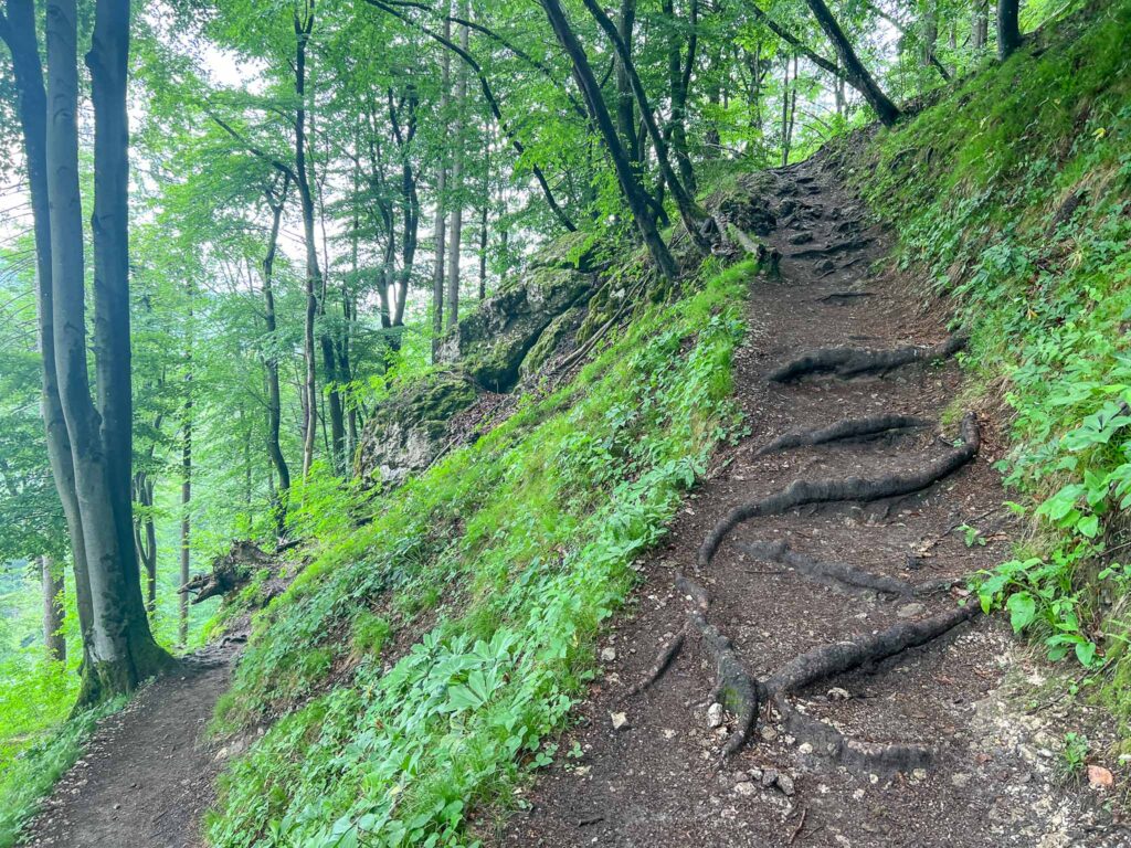Wandelroute uitzicht Lake Bled