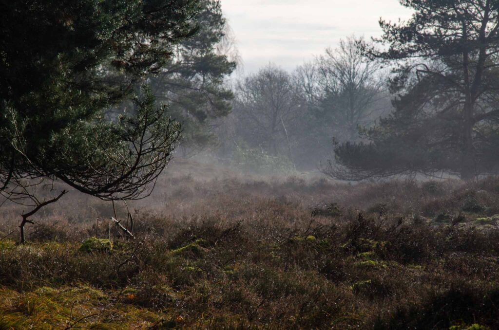 Bezienswaardigheden Drenthe