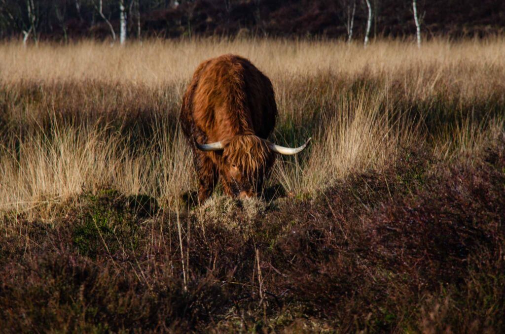 Bezienswaardigheden Drenthe