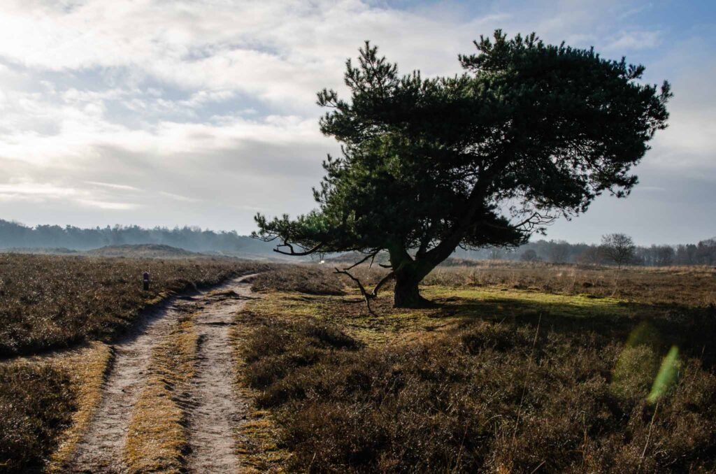 Bezienswaardigheden Drenthe