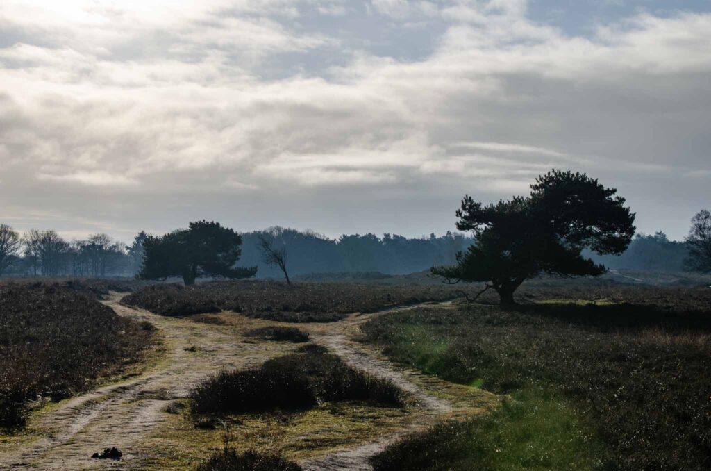 Bezienswaardigheden Drenthe