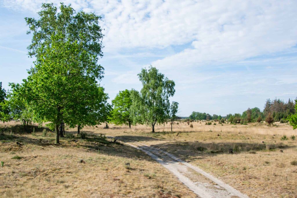 Bezienswaardigheden Drenthe
