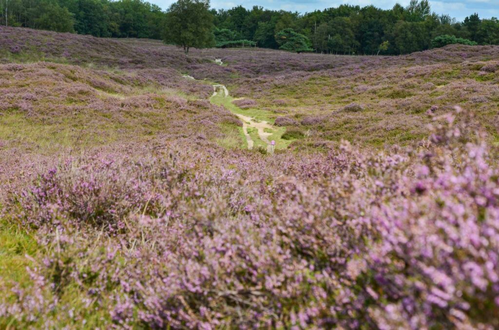 Bezienswaardigheden Drenthe