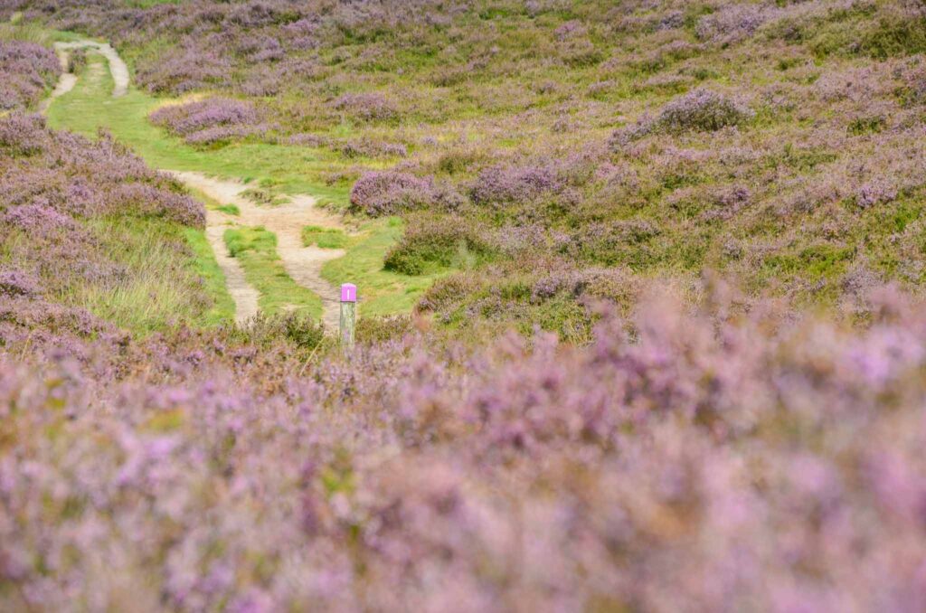 Bezienswaardigheden Drenthe