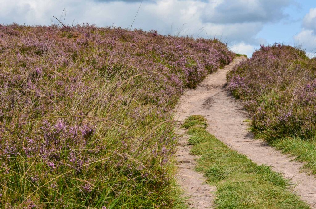 Bezienswaardigheden Drenthe