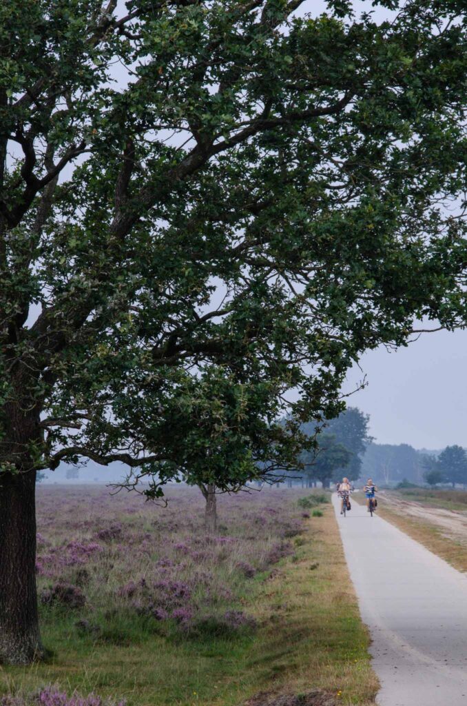 Bezienswaardigheden Drente