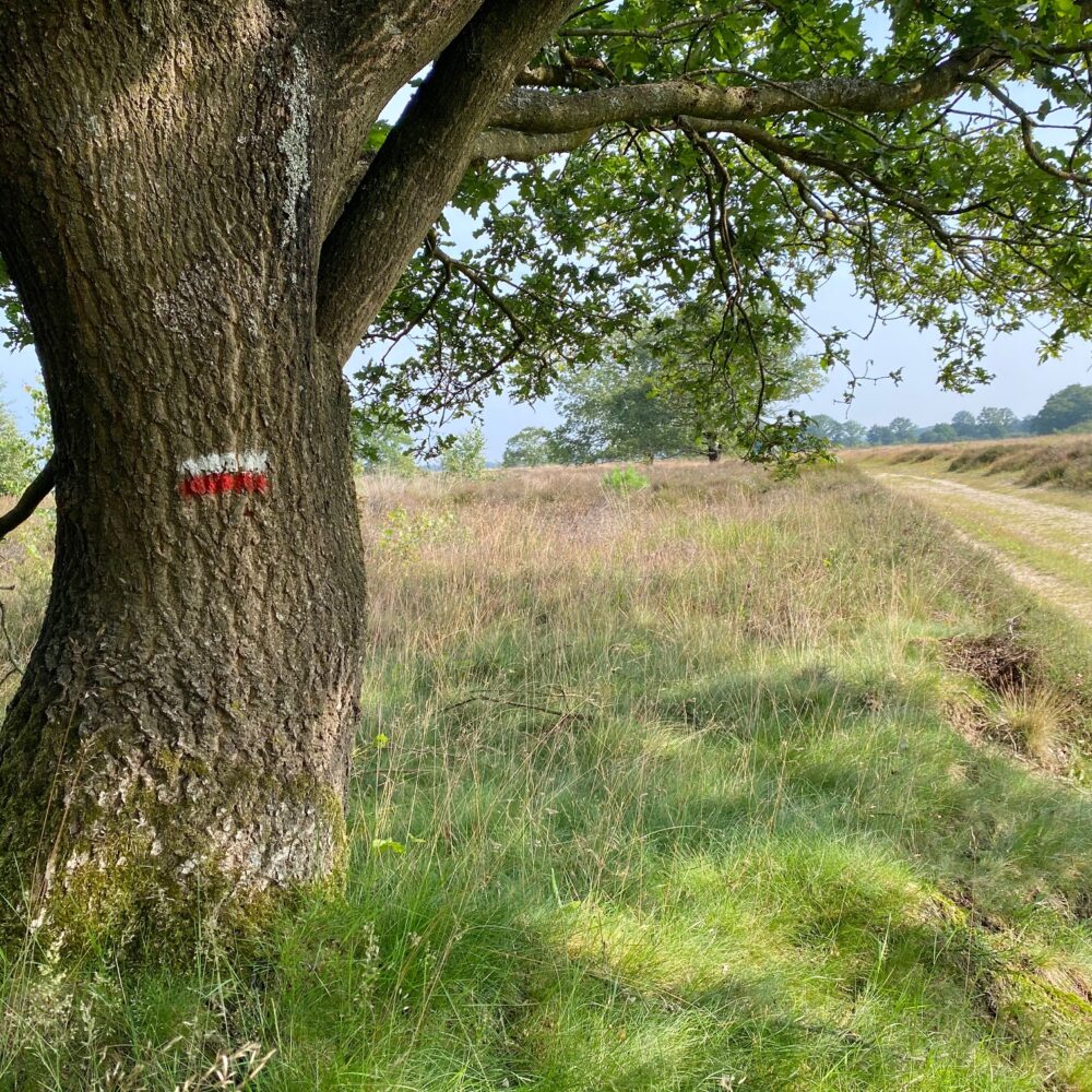 Het noordelijke deel van het Pieterpad - etappes 1 t/m 4