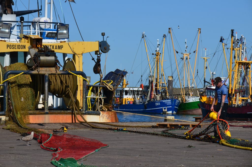 Op ontdekking in het Lauwersmeer Nationaal Park in Groningen
