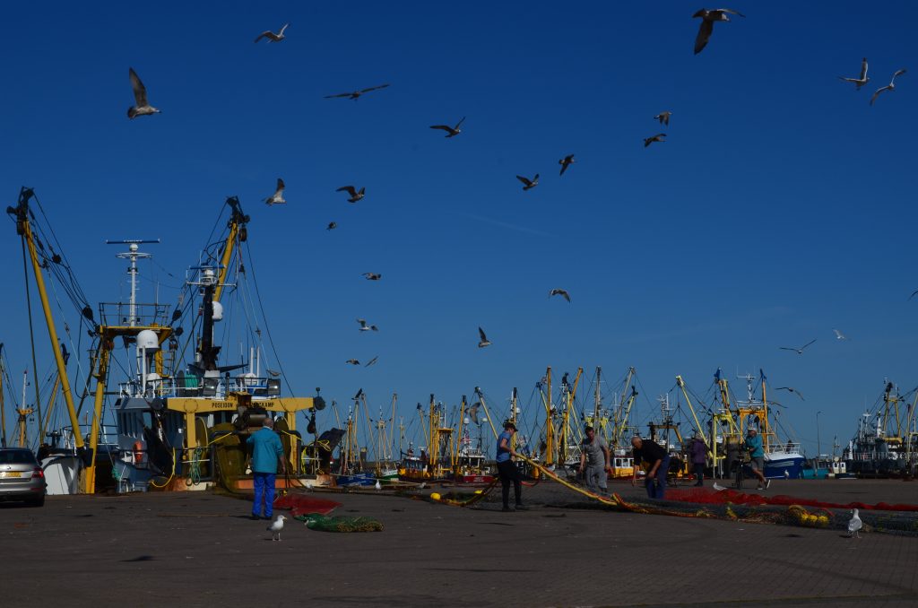 Op ontdekking in het Lauwersmeer Nationaal Park in Groningen