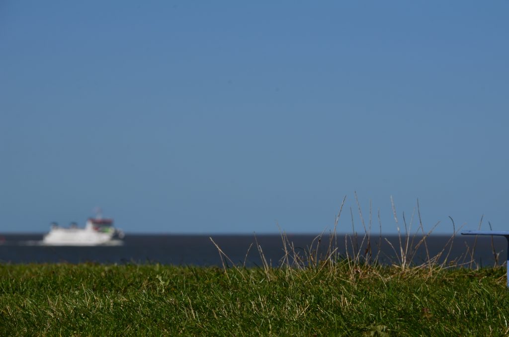 Op ontdekking in het Lauwersmeer Nationaal Park in Groningen