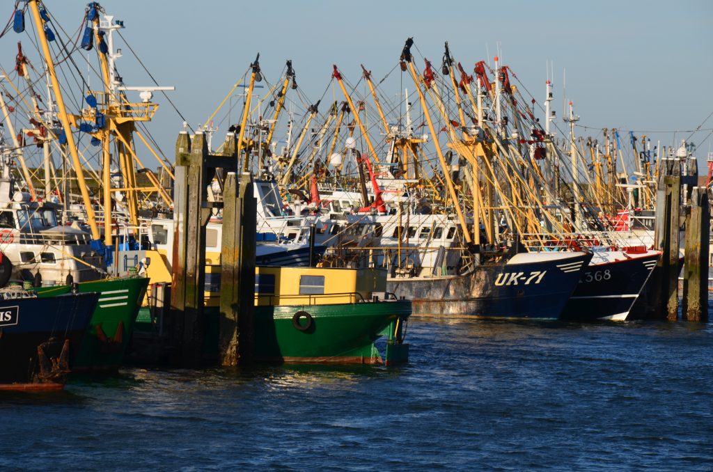 Op ontdekking in het Lauwersmeer Nationaal Park in Groningen