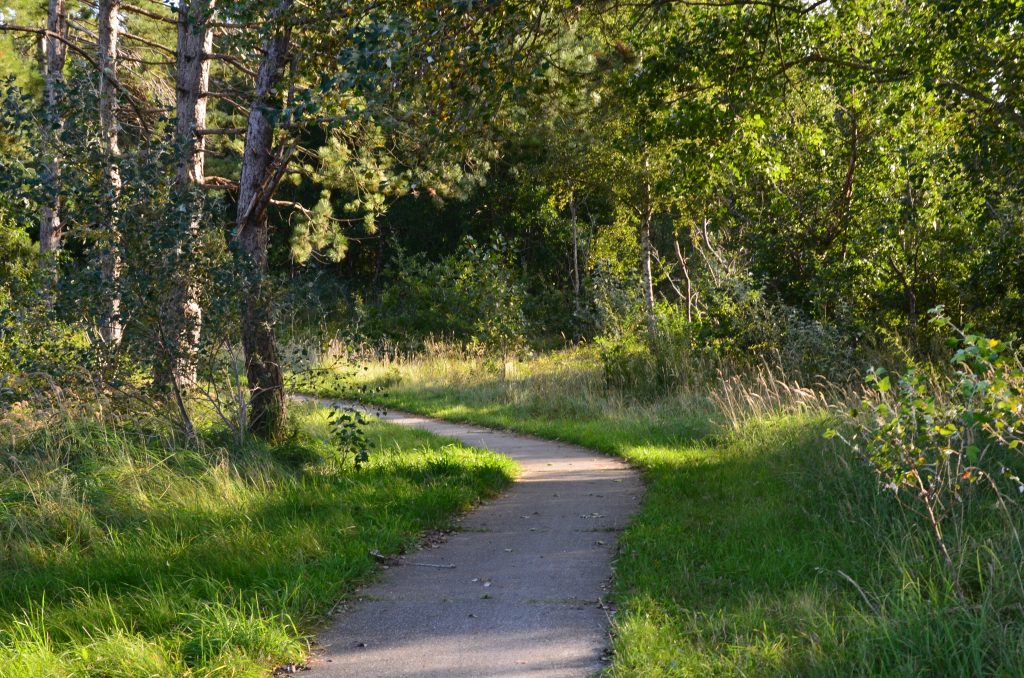 Op ontdekking in het Lauwersmeer Nationaal Park in Groningen