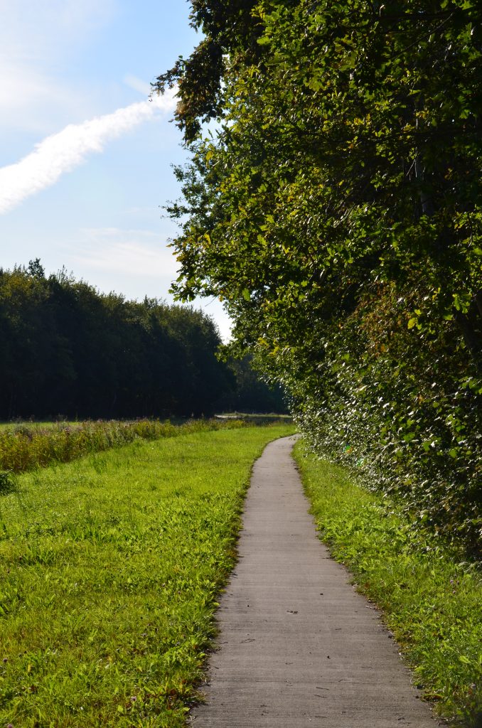 Op ontdekking in het Lauwersmeer Nationaal Park in Groningen