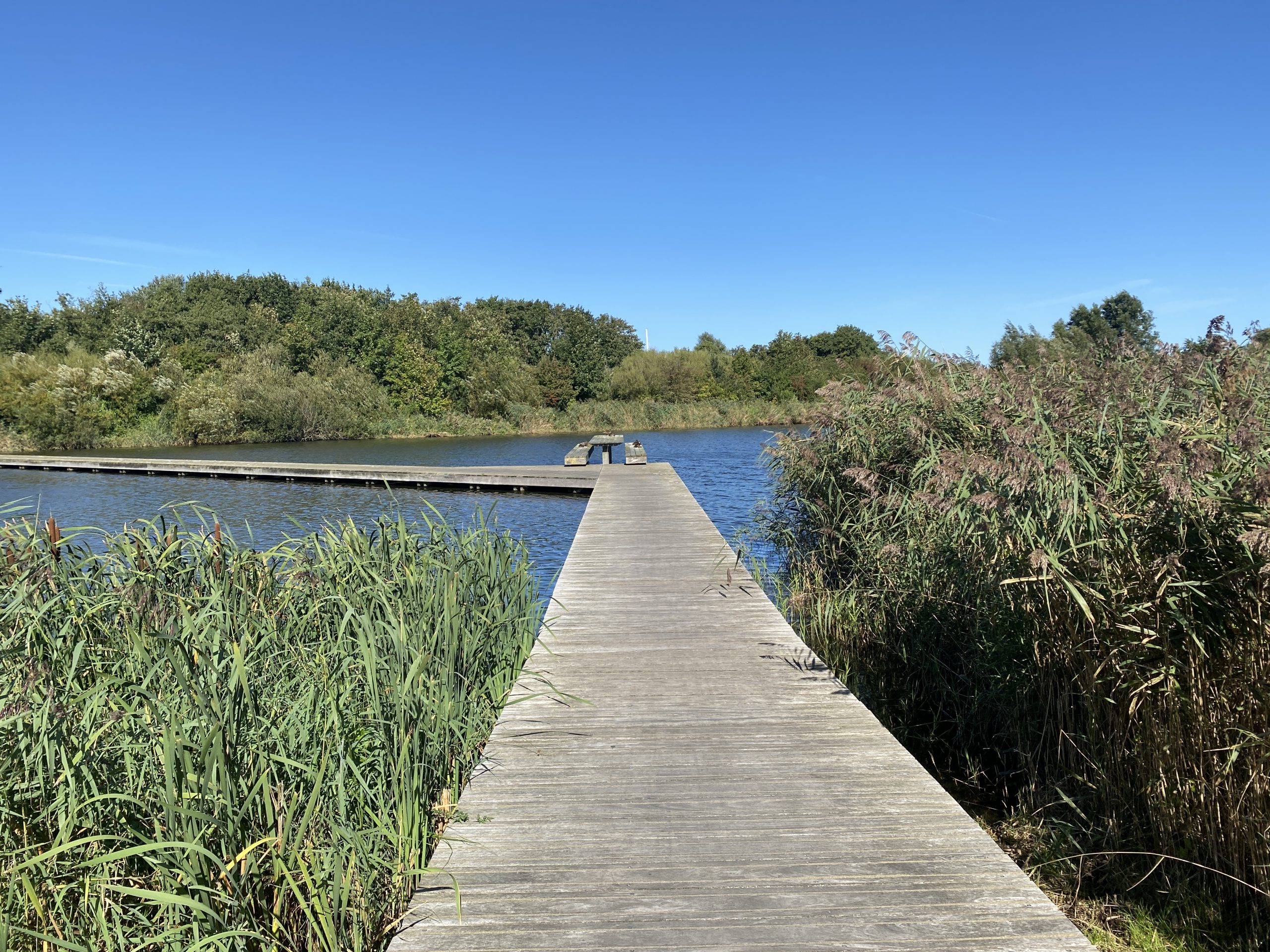Op ontdekking in het Lauwersmeer Nationaal Park in Groningen