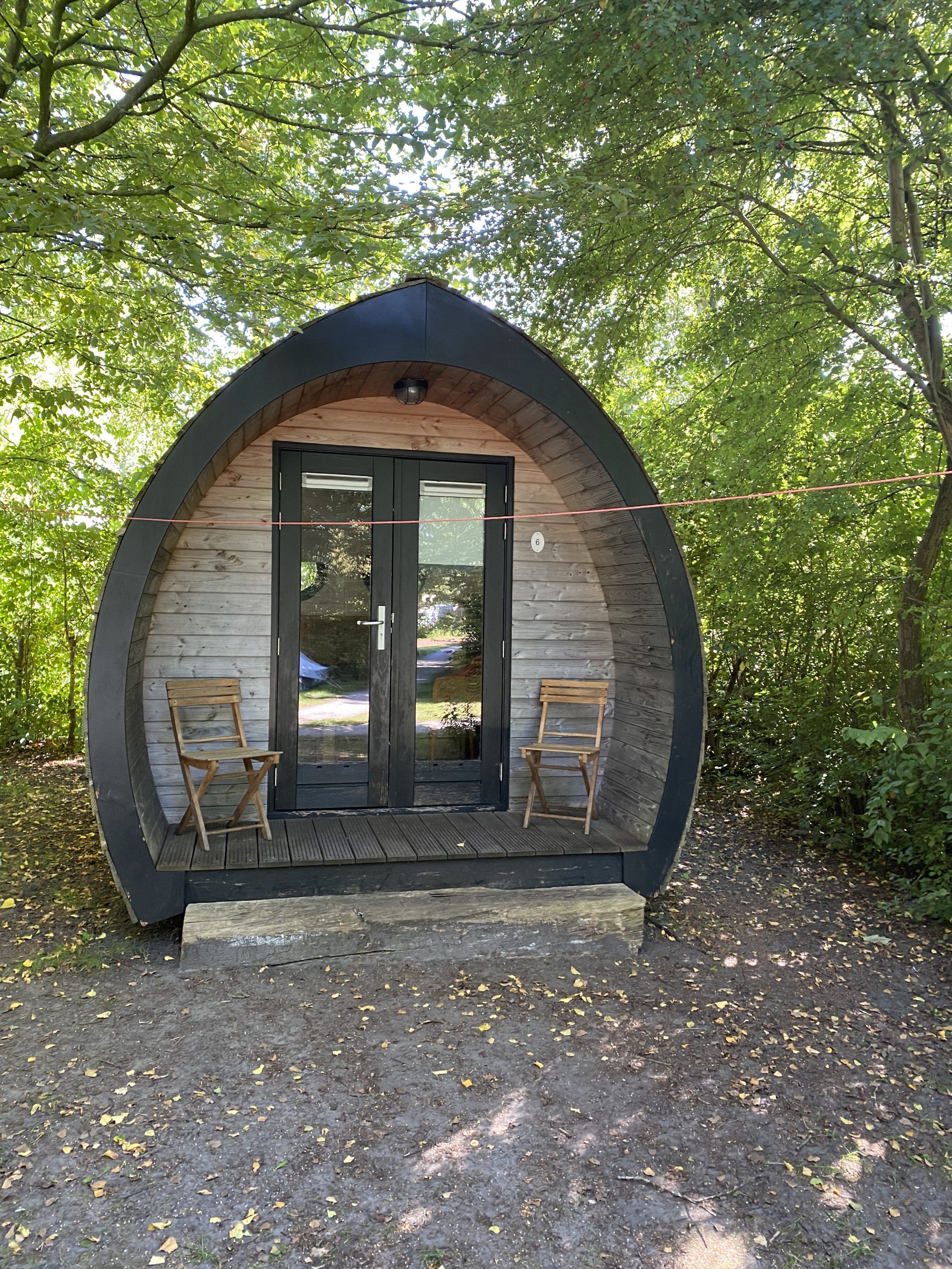 Op ontdekking in het Lauwersmeer Nationaal Park in Groningen