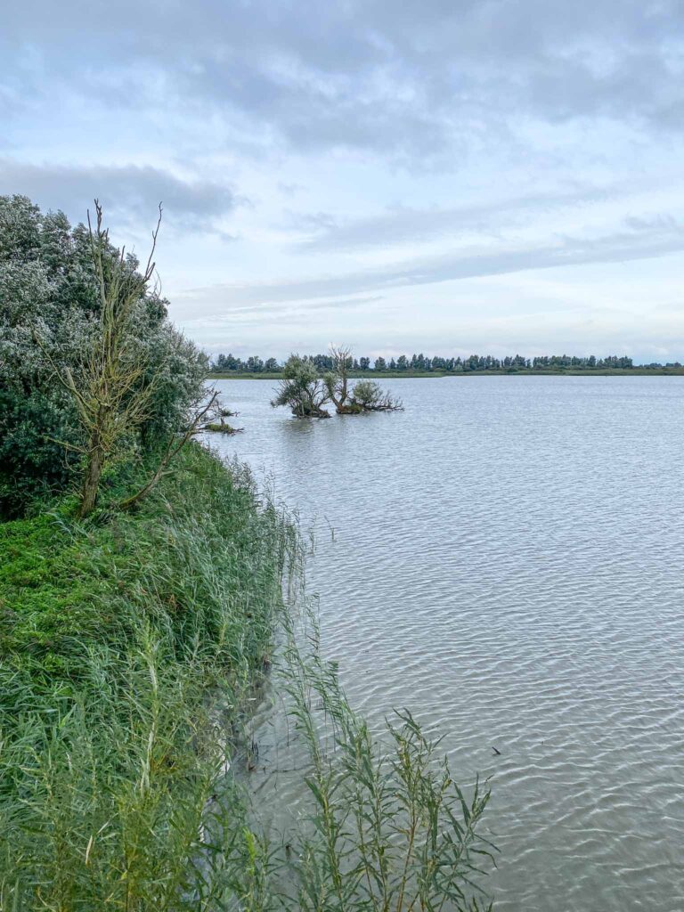 Oostvaardersplassen