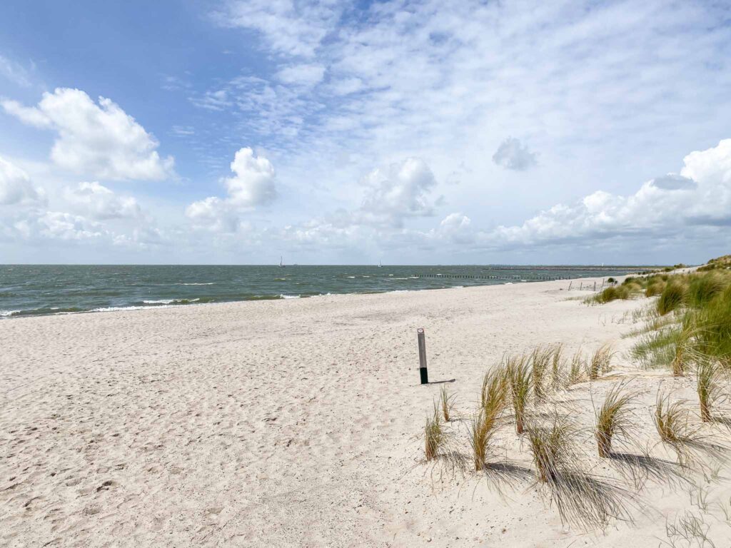 Marker Wadden