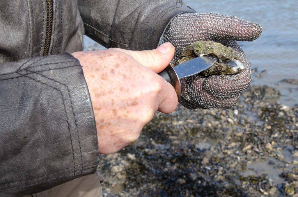 Bijzonder overnachten bij Op Oost op Texel