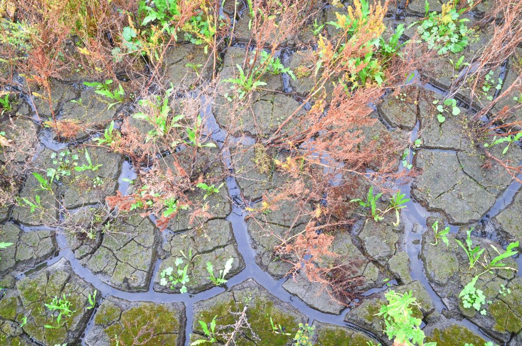 Marker Wadden Flevoland