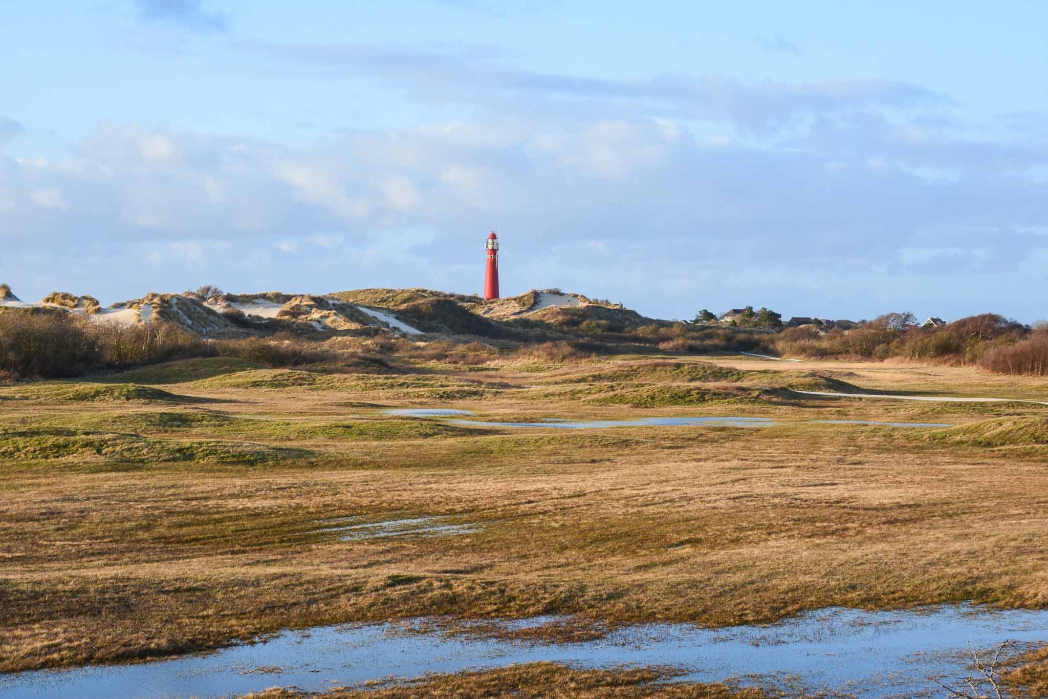 November wandelmaand schiermonnikoog