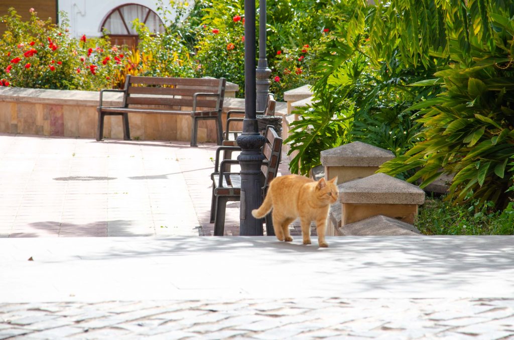 Santa Lucia Gran Canaria