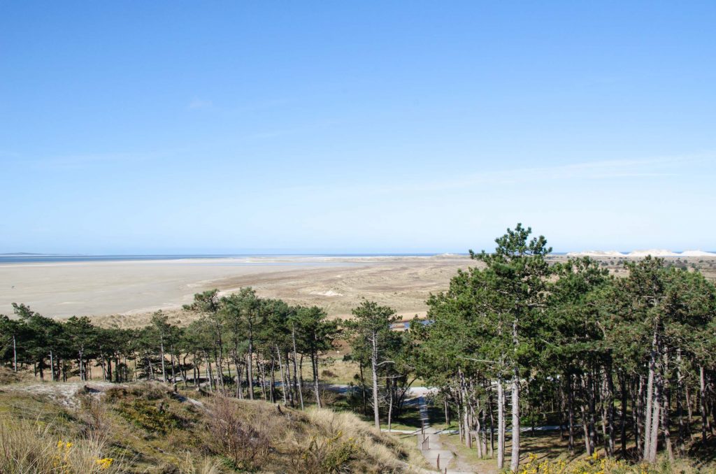 Wat te doen op Terschelling