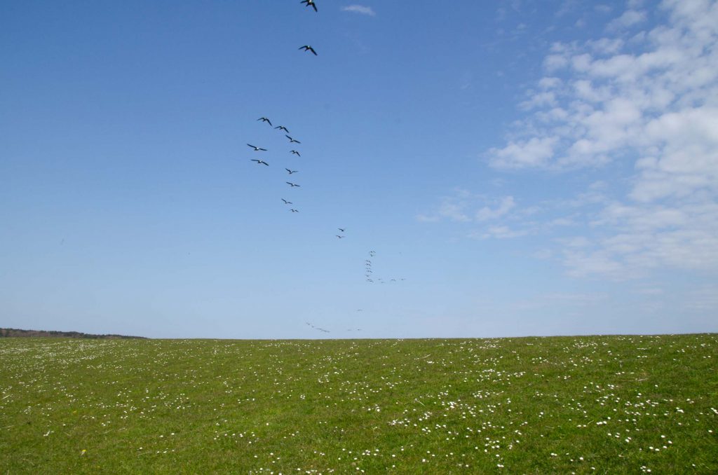 Wat te doen op Terschelling