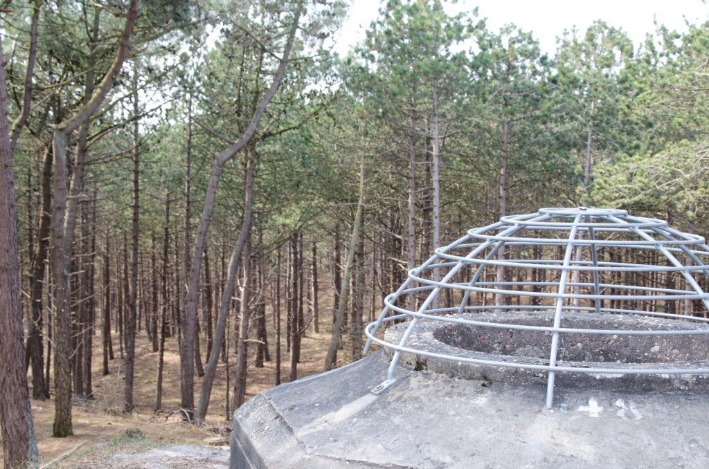 Wat te doen op Terschelling