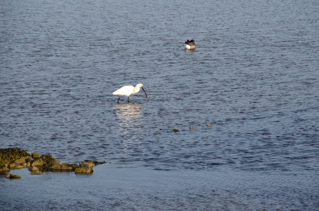 Wat te doen op Terschelling