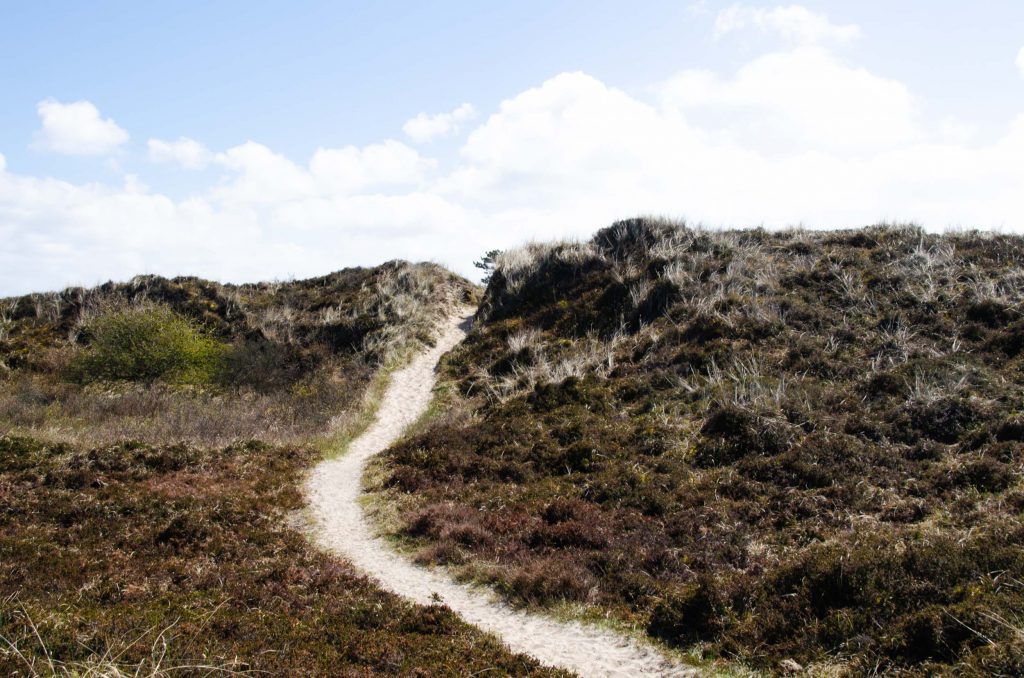 Wat te doen op Terschelling