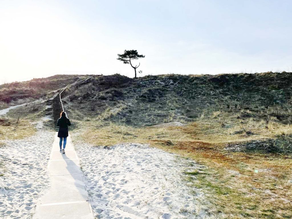 Wat te doen op Terschelling