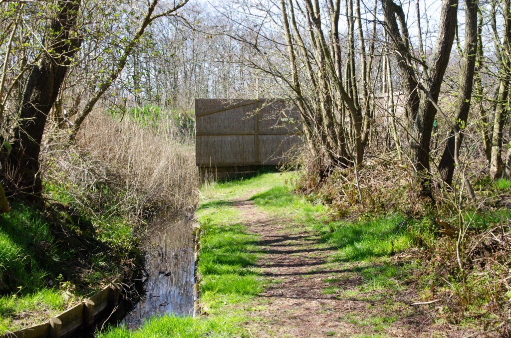 Wat te doen op Terschelling