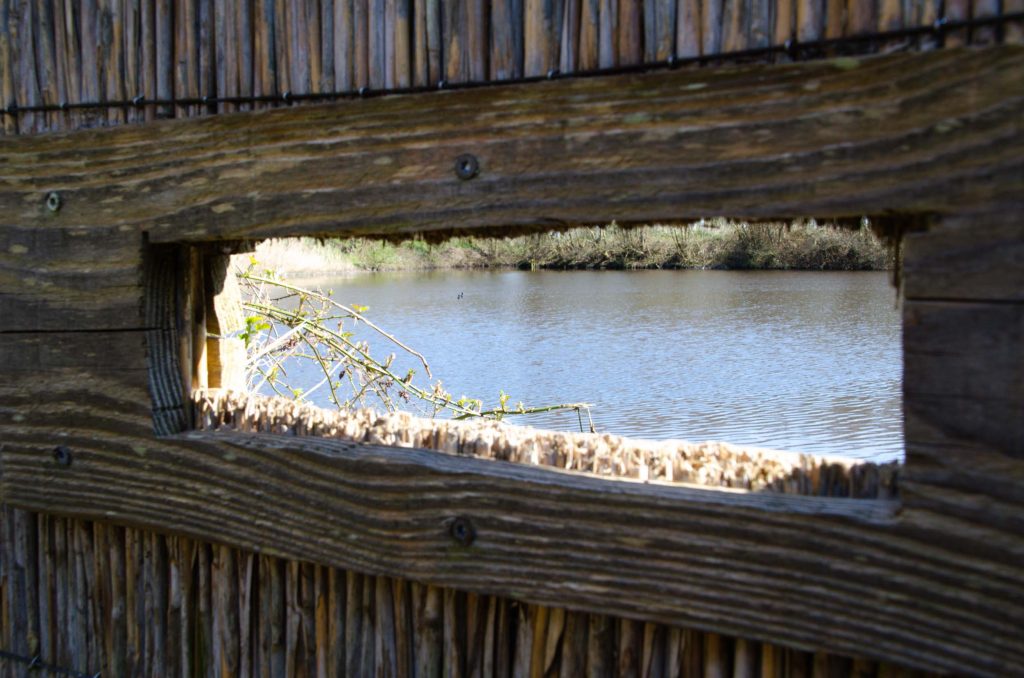 Wat te doen op Terschelling