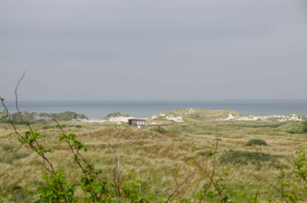 Ameland